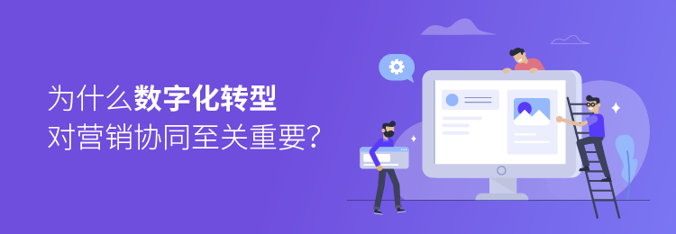 营销自动化，邮件营销，Focussend